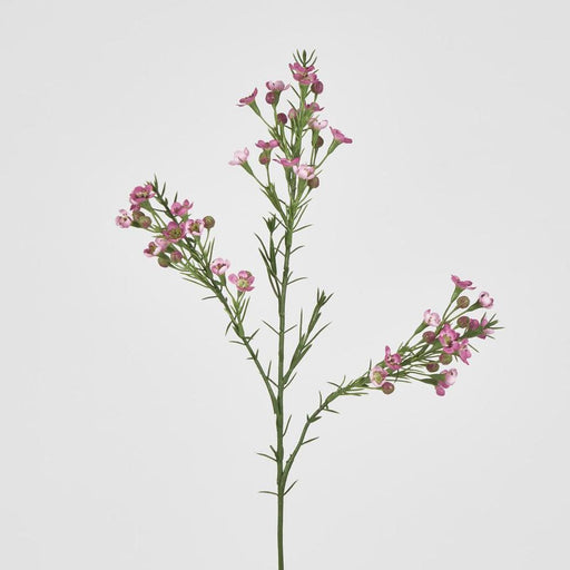 Wax Flower Dark Pink 64cm - Pack of 12
