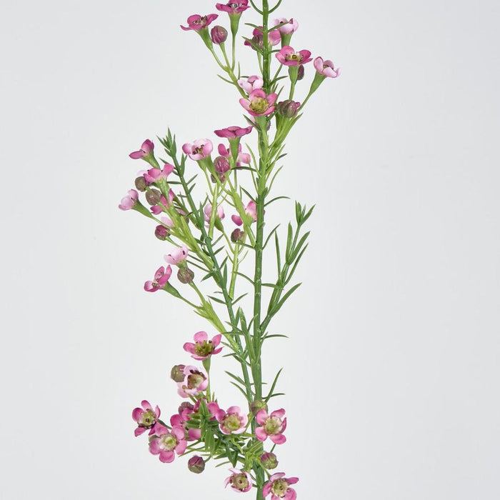 Wax Flower Dark Pink 64cm - Pack of 12