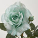 Colin Rose 64cm Green - Pack of 12