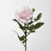 Colin Rose 64cm Pink Light Pink - Pack of 12