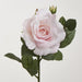 Colin Rose 64cm Pink Light Pink - Pack of 12