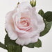 Colin Rose 64cm Pink Light Pink - Pack of 12