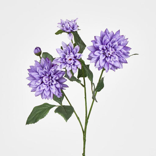 Dahlia Spray 70cm Purple - Pack of 12
