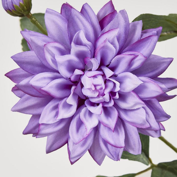 Dahlia Spray 70cm Purple - Pack of 12