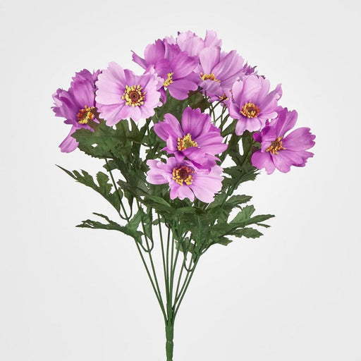 Cosmos Bush 48cm Dark Pink - Pack of 12