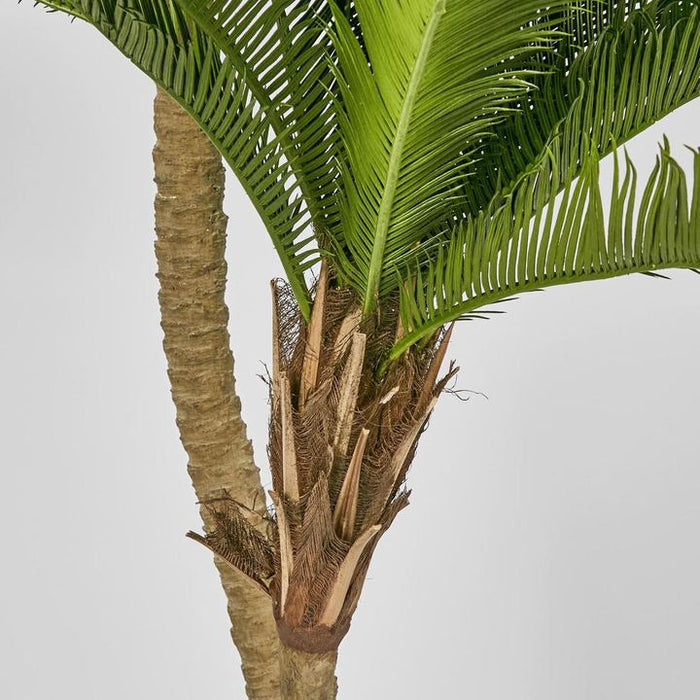 Cycus Palm Tree 150cm Green