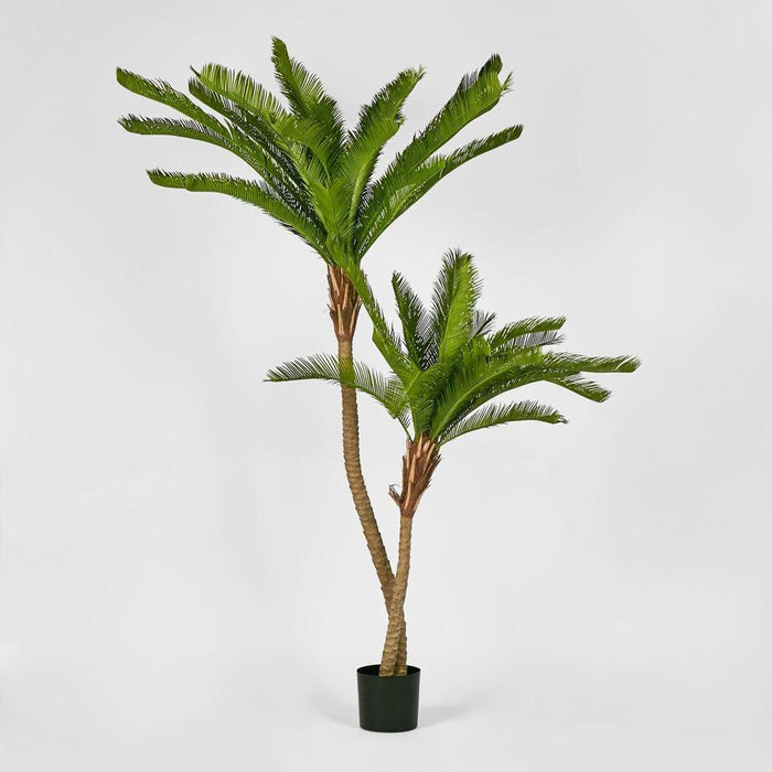 Cycus Palm Tree 150cm Green