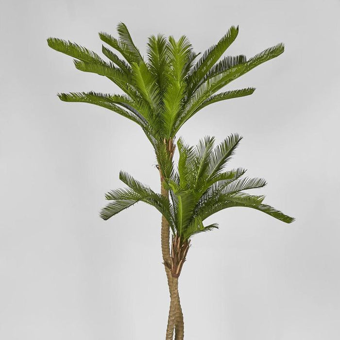 Cycus Palm Tree 150cm Green