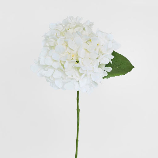 Hydrangea 47cm White - Pack of 12