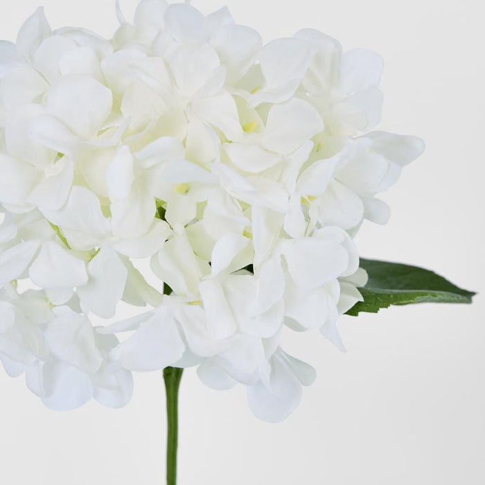 Hydrangea 47cm White - Pack of 12