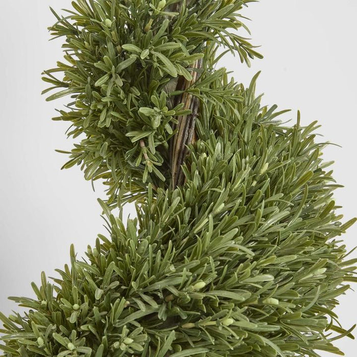 Rosemary Spiral Topiary Tree 120cm