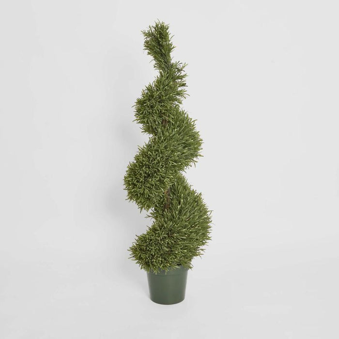 Rosemary Spiral Topiary Tree 120cm