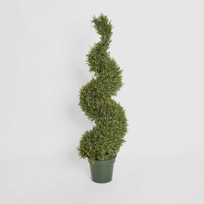 Rosemary Spiral Topiary Tree 120cm