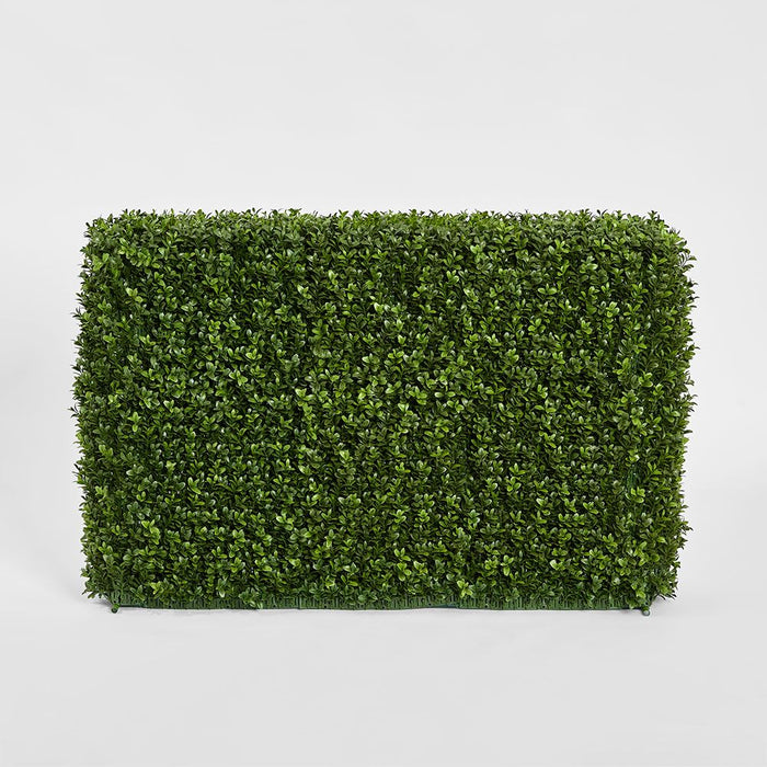 Boxwood Hedge 55x95cm