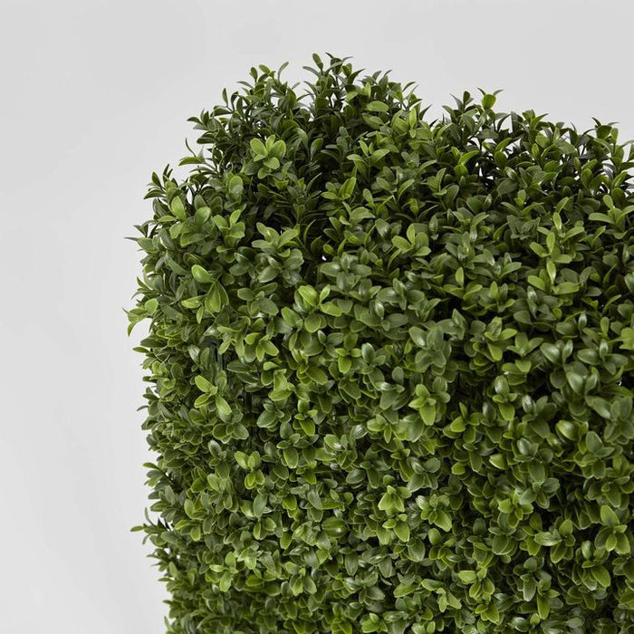 Boxwood Hedge 55x95cm
