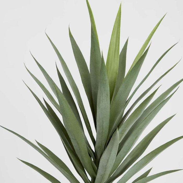 Yucca Head Green 78cm