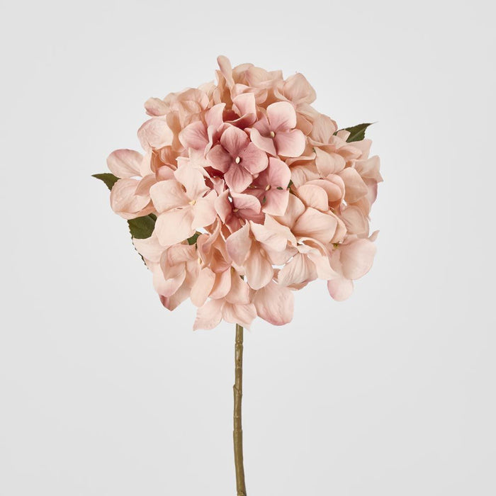 Hydrangea Stem 69cm Light Pink - Pack of 12