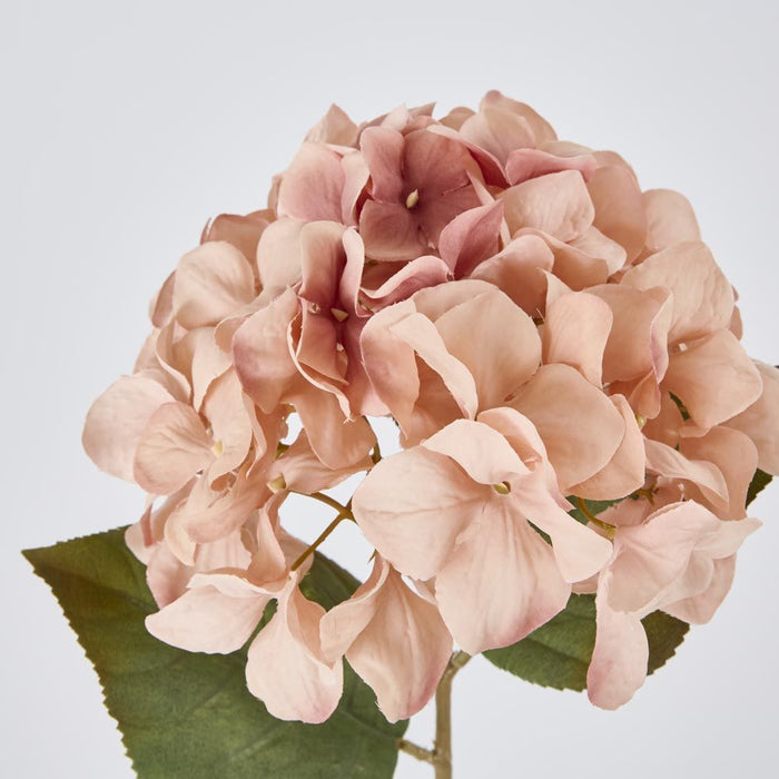 Hydrangea Stem 69cm Light Pink - Pack of 12