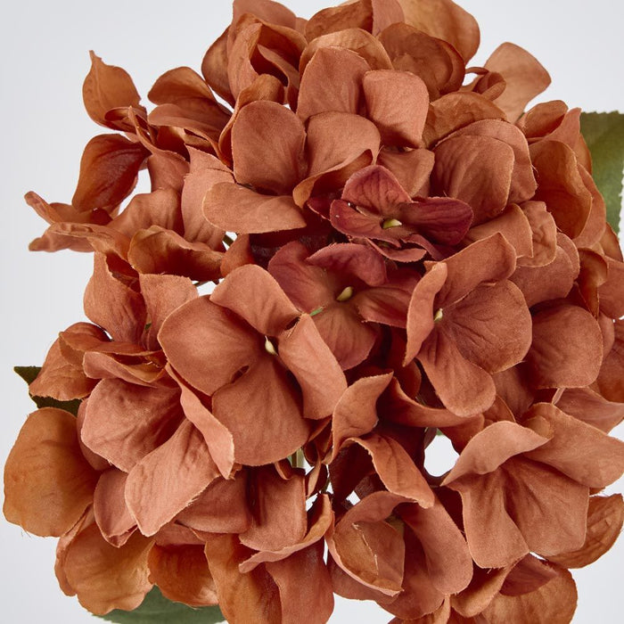 Hydrangea Stem 69cm Brown - Pack of 12