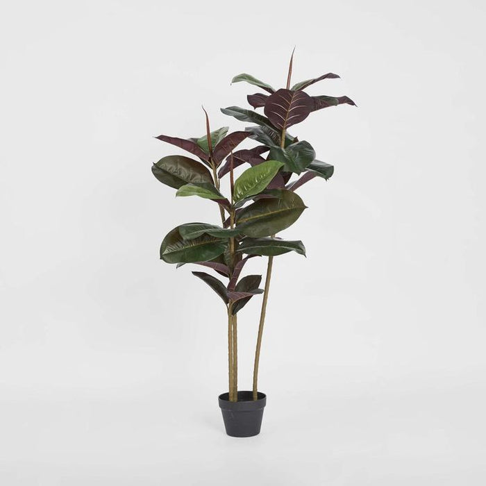 Rubber Tree Real Touch 145cm