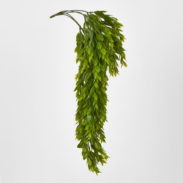 Hanging Ruscus Plant Green 56cm - Pack of 12