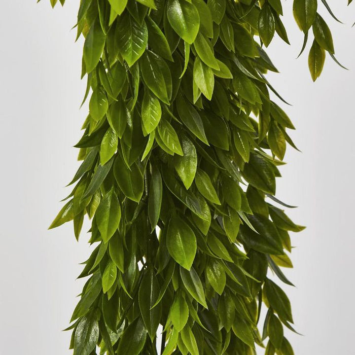 Hanging Ruscus Plant Green 56cm - Pack of 12