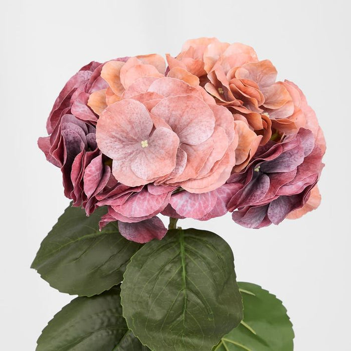 Real Touch Hydrangea Dark Rust Brown Rustic 64cm Pack of 12