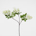 Snow Fruit Stem White 90cm - Pack of 12