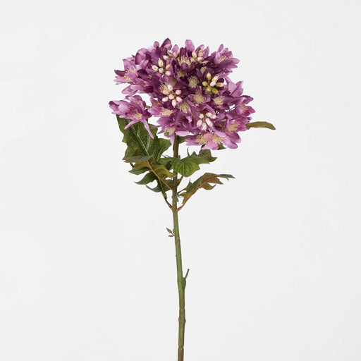 Agapanthus Stem Purple 95cm - Pack of 12