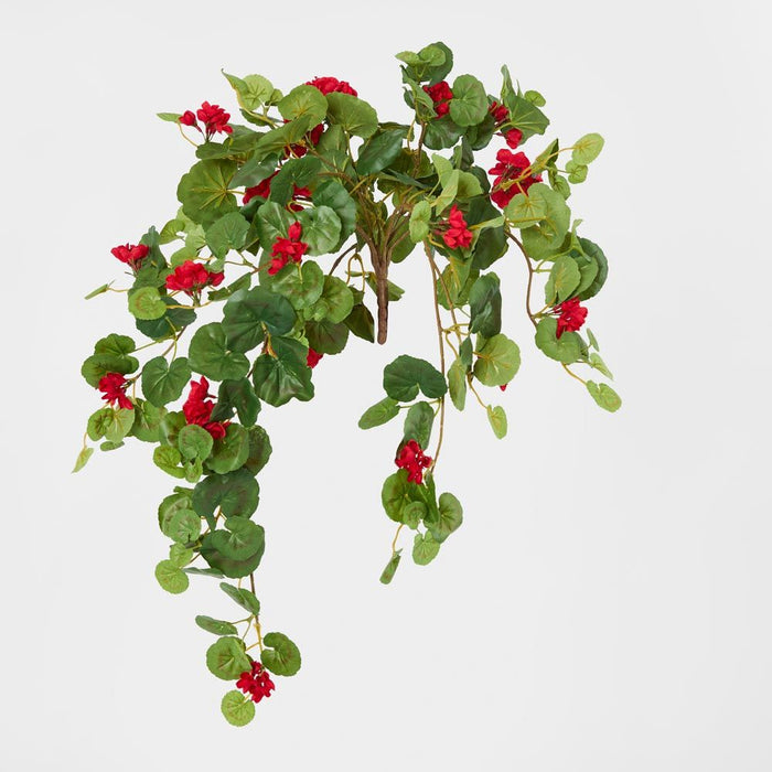Red Hanging Geranium Bush 182cm - Pack of 6