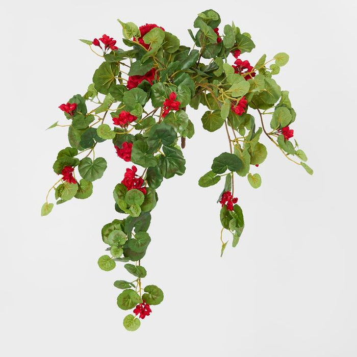 Red Hanging Geranium Bush 182cm - Pack of 6