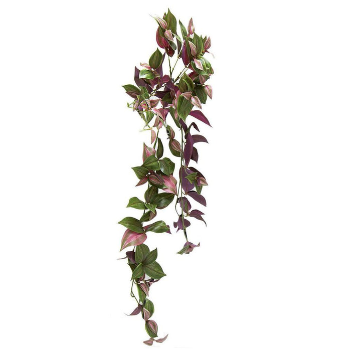 Wandering Jew Hanging Bush 94cm Purple & Green - Pack of 6