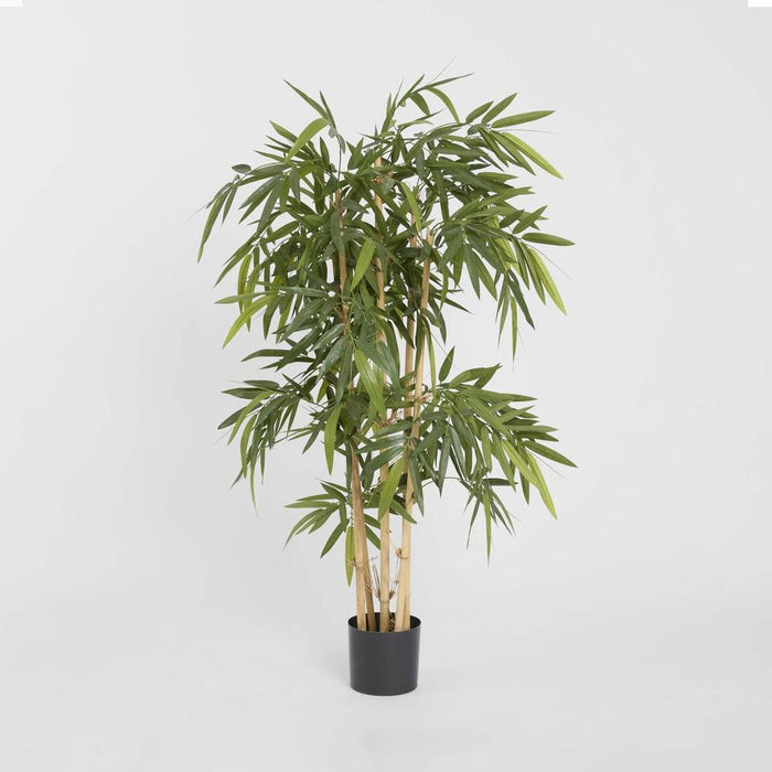 Bamboo Tree 120cm