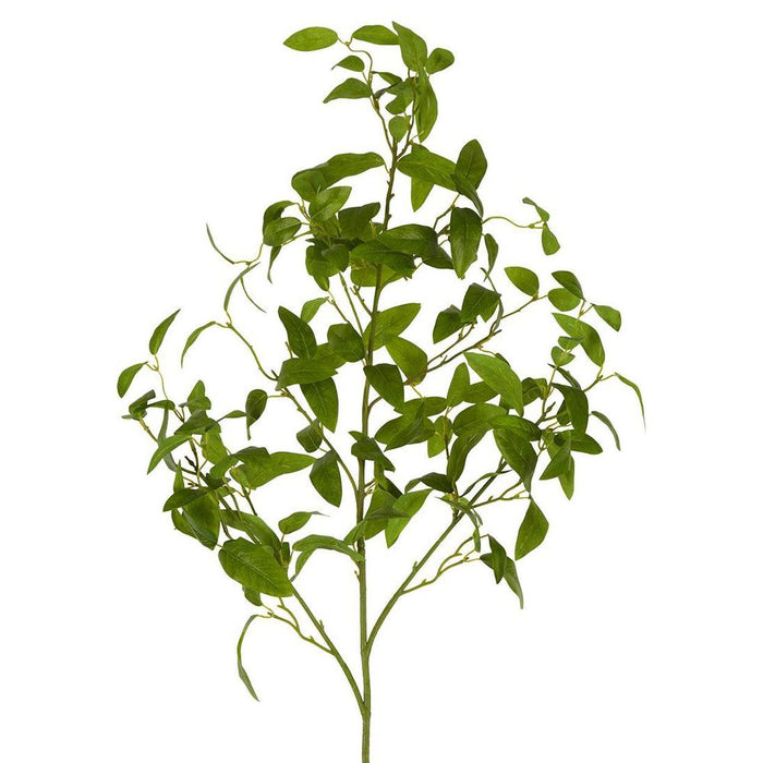 Olive Leaf Spray Stem 101cm Green Pack of 12