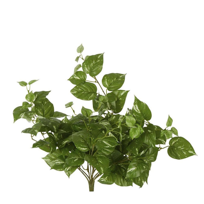 Pothos Leaf Hanging Vine Dark Green 40cm Pack of 6