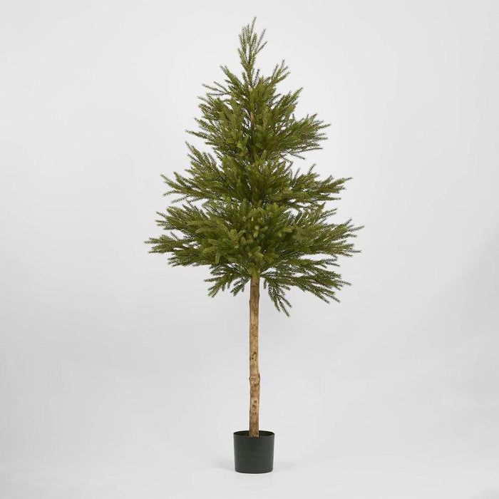 Scandi Spruce Tree Green 180cm