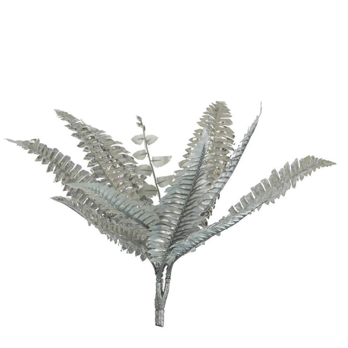 Boston Fern Metallic Silver Pack of 12
