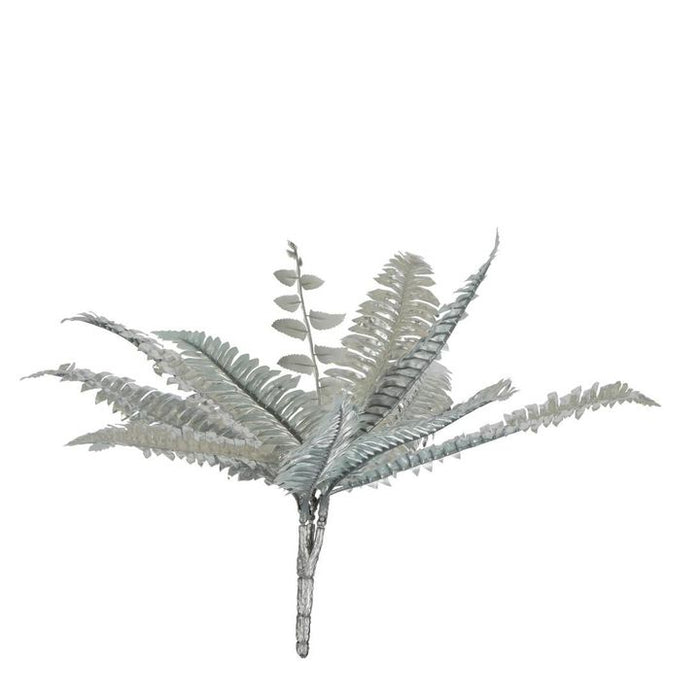 Boston Fern Metallic Silver Pack of 12