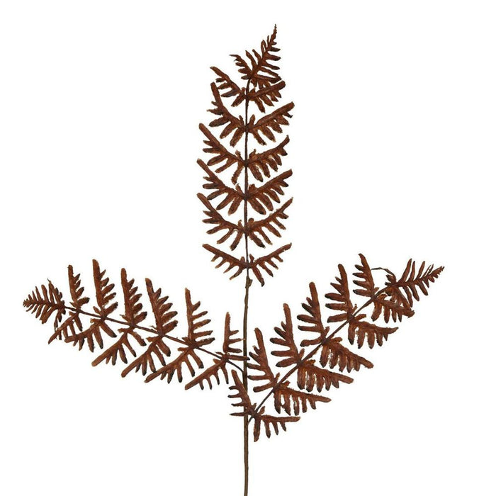 Dried Fern Leaf Stem Natural Brown Pack of 12