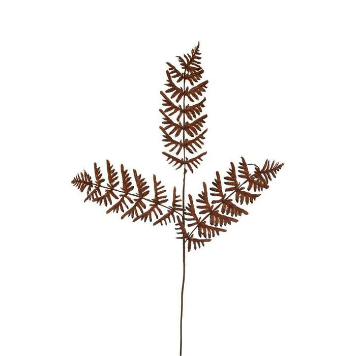 Dried Fern Leaf Stem Natural Brown Pack of 12