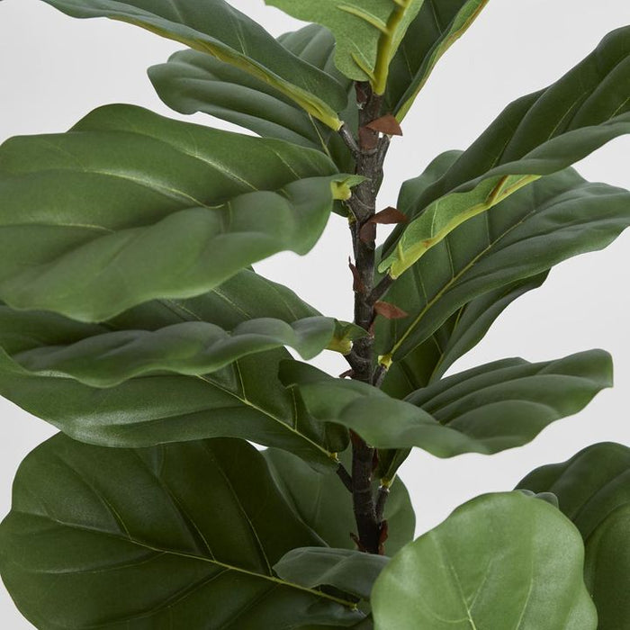 Fiddle Leaf Tree 113cm