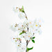 Cherry Blossom Stem White Pink 100cm - Pack of 12