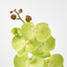 Phalaenopsis Spray Green 96cm - Pack of 12