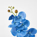 Phalaenopsis Spray Electric Blue 96cm - Pack of 12
