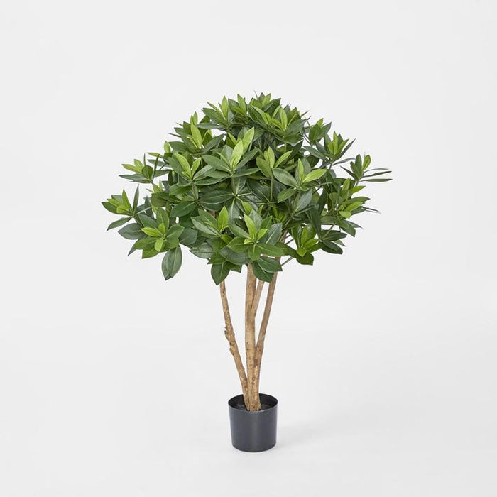 Sweet Link Tree Green 90cm