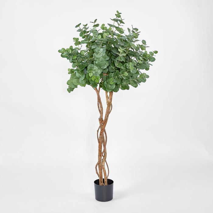 Eucalyptus Tree Green 160cm