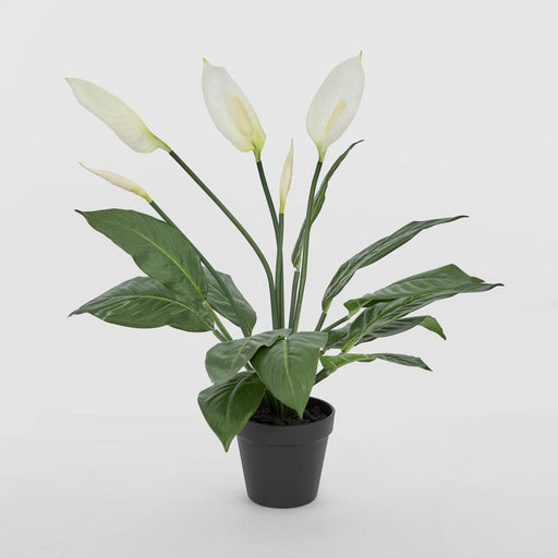 Real Touch Potted Spathiphyllum Bush 61cm White - Pack of 6