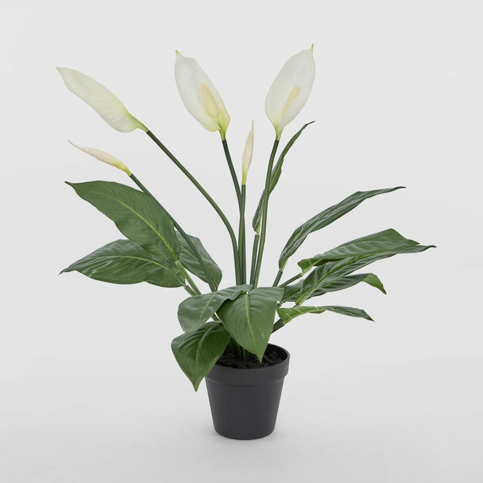 Real Touch Potted Spathiphyllum Bush 61cm White - Pack of 6