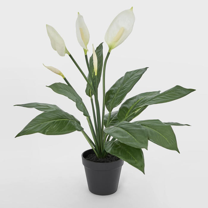 Real Touch Potted Spathiphyllum Bush 61cm White - Pack of 6