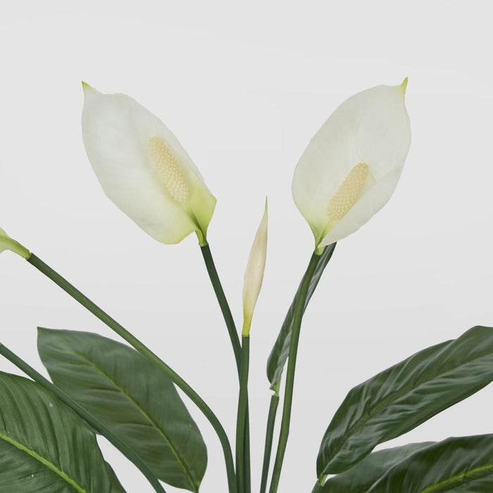 Real Touch Potted Spathiphyllum Bush 61cm White - Pack of 6